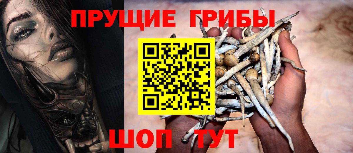 Галлюциногенные грибы Magic Shrooms  Вход с VPN  Галлюциногенные грибы мицелий  Похвистнево 