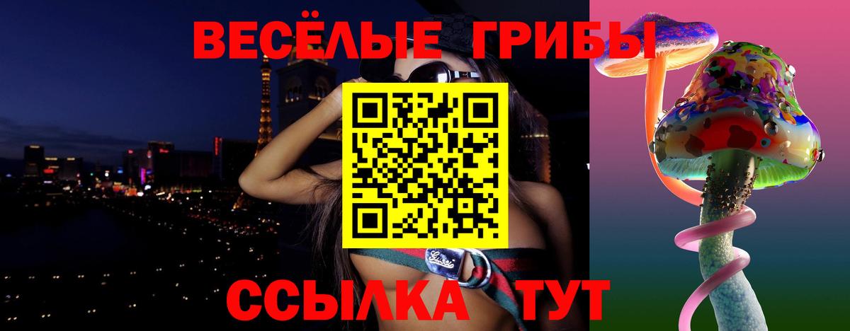 Псилоцибиновые грибы Psilocybine cubensis Похвистнево